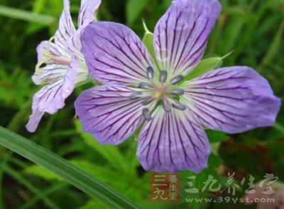 花粉症患者，在花粉播散期应减少户外活动