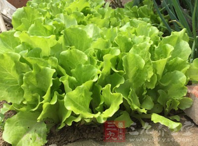 饮食疗法 治疗口腔溃疡这样吃菜有效