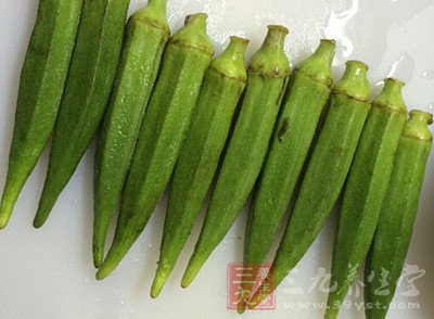 強(qiáng)腎植物：黃秋葵