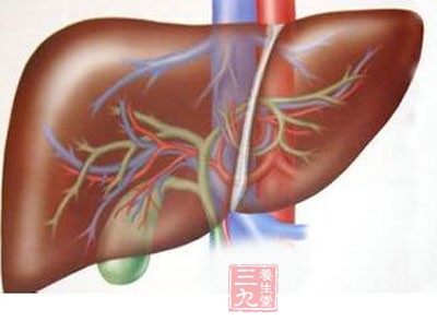 肝臟有分泌膽汁、物質代謝、生物轉化(解毒)、造血、凝血、免疫等六大功能