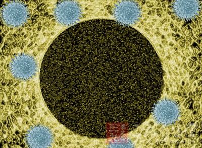 血液肿瘤细胞预测前列腺癌的扩散