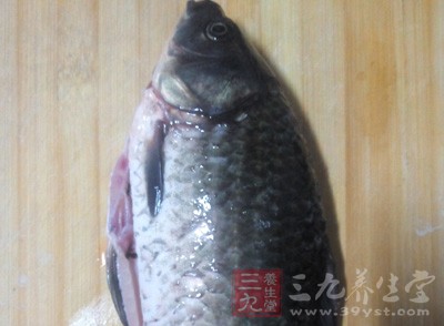 再將鯽魚入五味子湯中