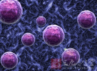 人工免疫细胞能发现并杀死癌细胞