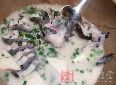 鱼腥草煲猪肺