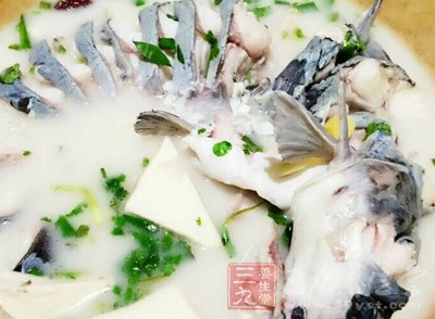 不同的魚類對身體有不同的作用