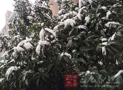 在刚下雪时可能还不会感觉到寒冷