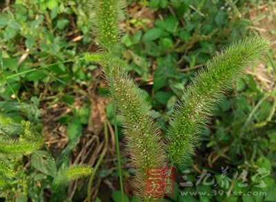 現(xiàn)代人濕氣重多因喜食冷飲