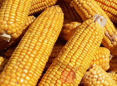 每天保证吃上一根玉米