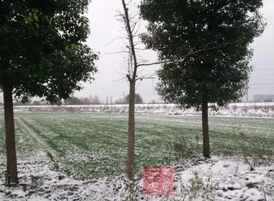 新年将至,大寒已到 新年将至,大寒已到