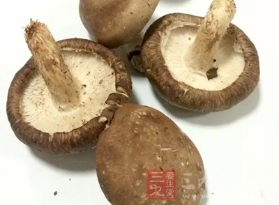 香菇四大滋補(bǔ)吃法