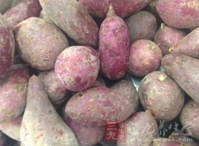 红薯茎尖含有丰富的蛋白质、胡萝卜素、维生素、铁和钙质