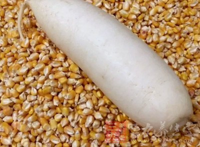 粗粮的加工一般不追求精细,B族维生素的含量比细粮高 粗粮的加工一般不追求精细,B族维生素的含量比细粮高