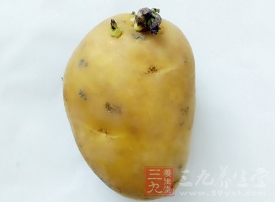 发芽马铃薯，您吃过没