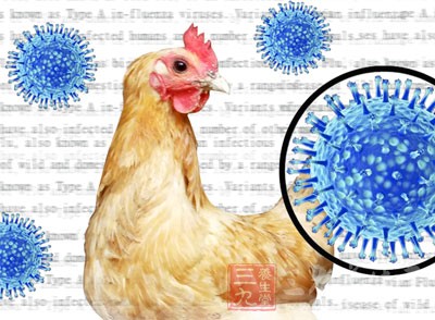 武汉确诊10例H7N9病例 感染人数5年来最多