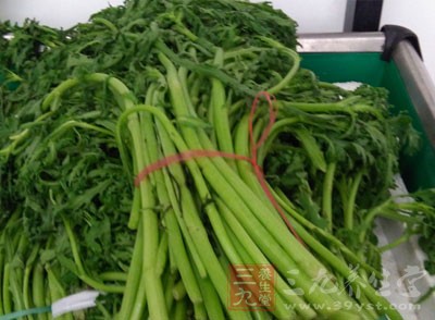 全素食容易造成什么营养缺乏,该如何避免 全素食容易造成什么营养缺乏,该如何避免