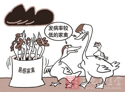 现如今在中国爆发的禽流感就是人畜共患型流感病毒甲型H7N9