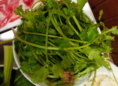 香菜汤治痔疮用香菜