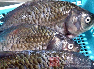 饮食误区 看看你吃了多少重金属 - 民福康 三九