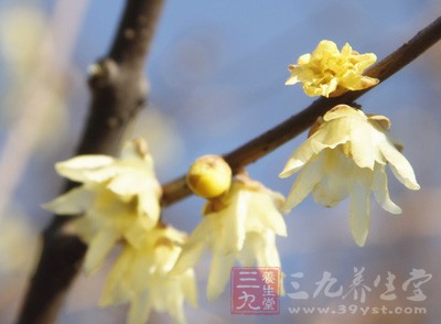 很多可能是因为花、草，甚至阳光紫外线，对于这种情况只能采取一些保护的措施