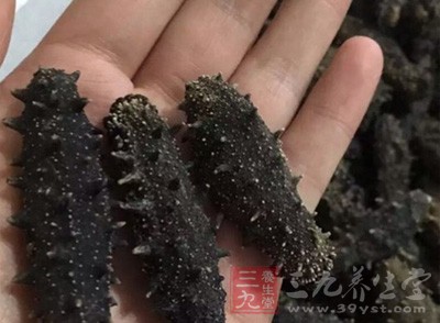 三种超正确的海参食用方法