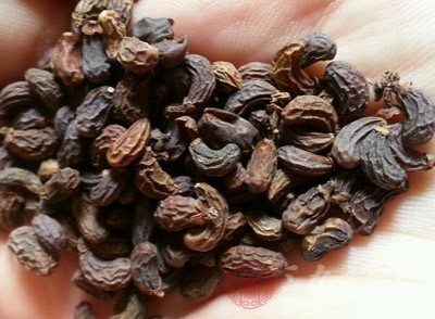 推荐一物泡茶防血栓