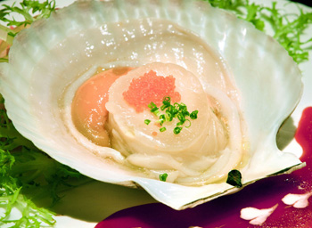 扇贝的营养价值