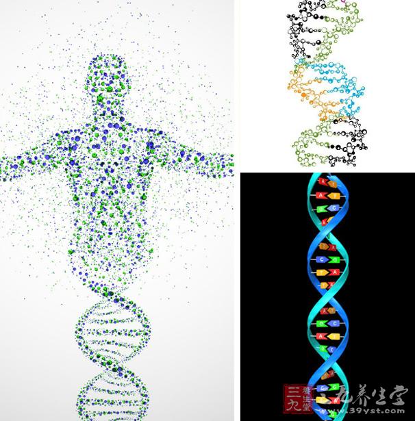 基因突变例子图片图片