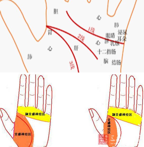 为什么20岁以下不看手相