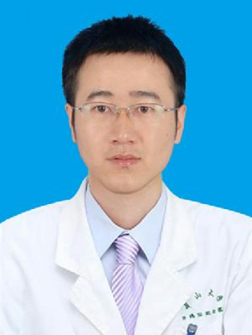 贺情情