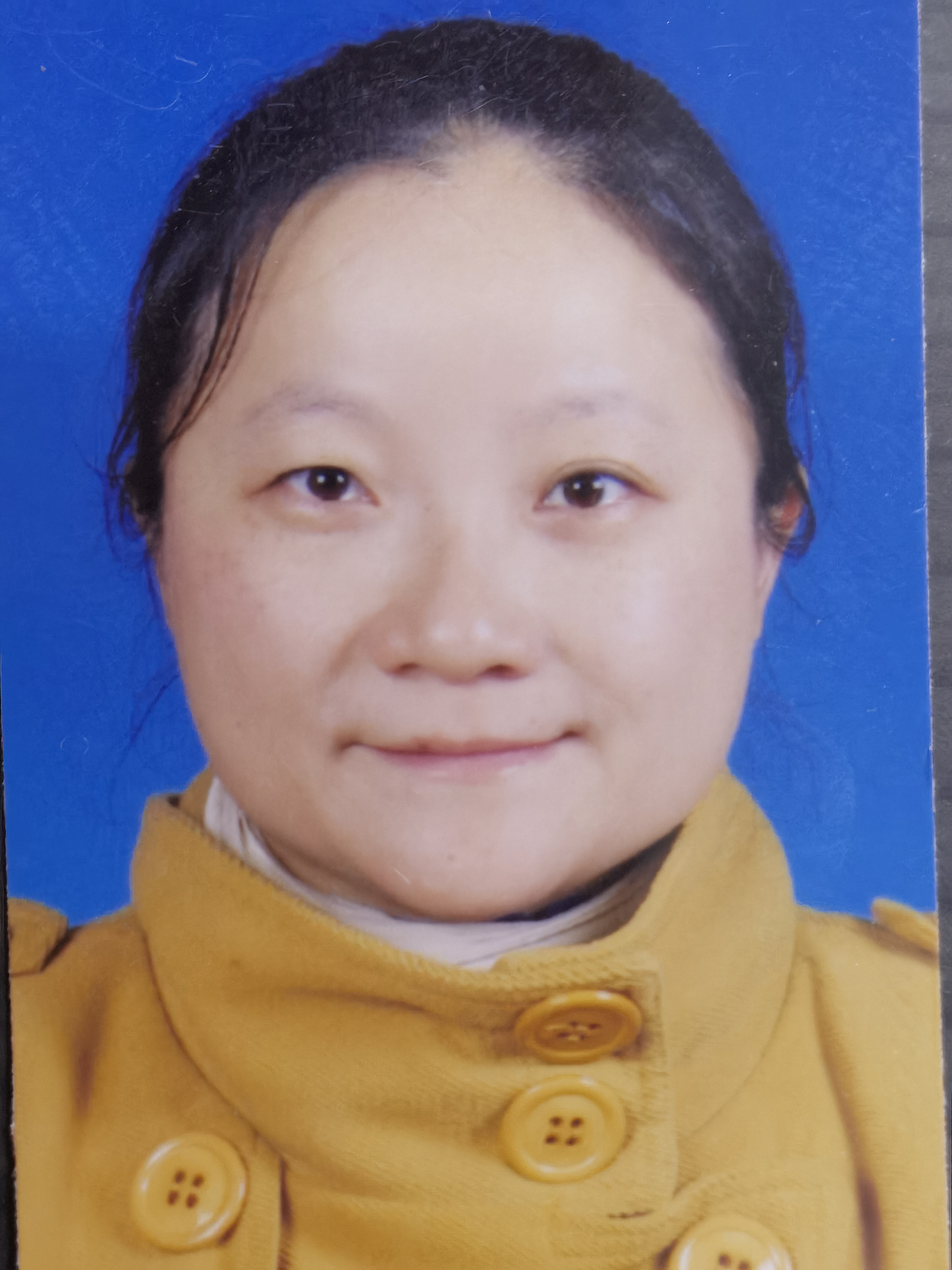 陈聪聪