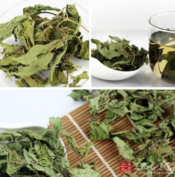 干薄荷的功效与作用 它有哪些营养