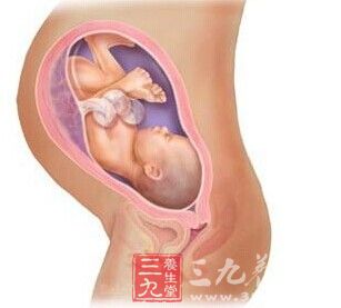 胎儿发育40周全过程及注意内容 1418888966279.jpg
