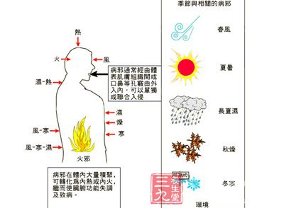 乳岩的致病因素,属 a.外感六淫邪毒 b.外来伤害c.情志内伤 d.