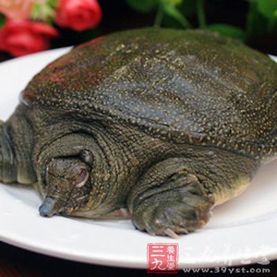 水鱼什么价格 1419938716332.jpg