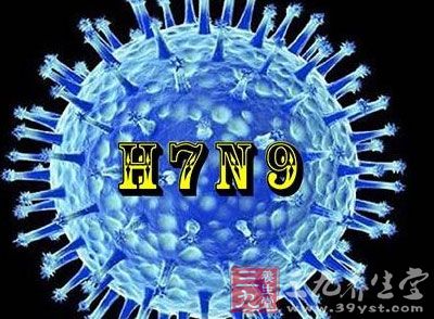 广州一市场检出h7n9病毒 需做好预防