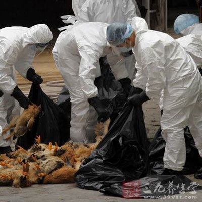 泰国疫情怎么样了啊 1422610946452.jpg