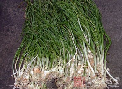 别名 冻葱(《唐本草》),葫葱(《孙真人食忌》),冬葱(《蜀本草》),回回