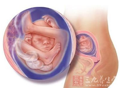 怀孕18周 怀孕18周宝宝的发育情况