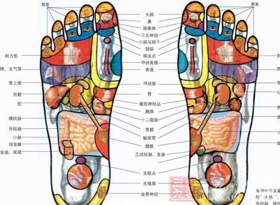 认为脚就是我们人的根,人体一共有十二条经脉,其中有六条经脉与足相系