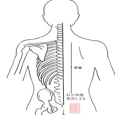 中医经络养生 经络对身体的重要性你知道吗(15 三九养生堂