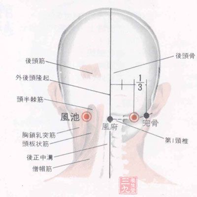 正确头部按摩手法图解图片