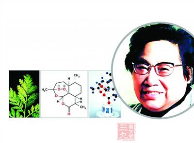 奎宁和青蒿素,奎宁青蒿素,青蒿素图片(第2页)_大山谷图库