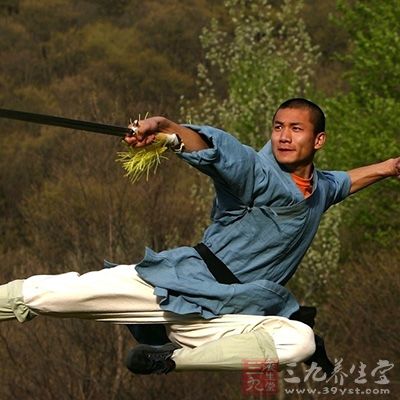 沒有嵩山少林寺武術傳承紀錄