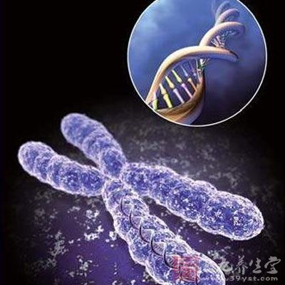 什么是基因突变 1437631852497.jpg