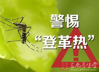 8月重点预防 登革热和手足口病