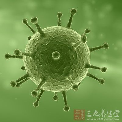 美国最新病毒叫什么 1438938827226.jpg