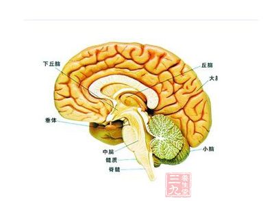 垂体瘤是一种从垂体前叶和后叶及颅咽管上皮残余细胞发生的肿瘤