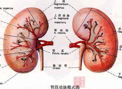 肾衰竭病因 是什么原因是我们患上肾衰竭