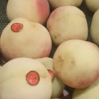 桃子吃多了会怎么样 吃桃子的适宜人群有哪些 桃子吃多了会怎么样 吃桃子的适宜人群有哪些