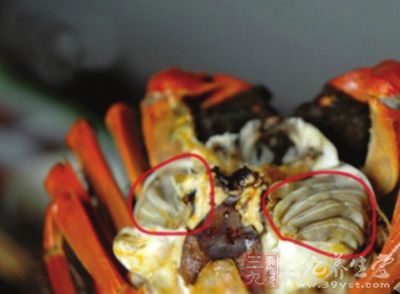 吃螃蟹过敏症状图片